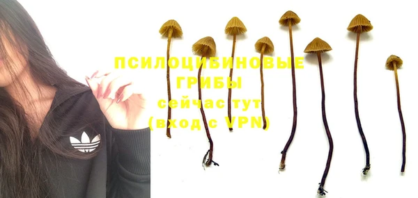 прущие крисы Надым