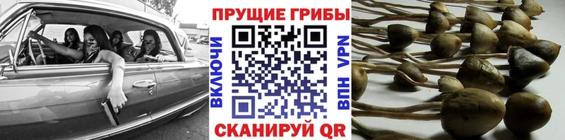 Псилоцибиновые грибы MAGIC MUSHROOMS kraken ссылки Миньяр